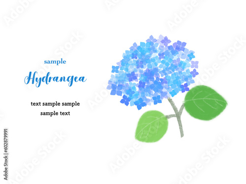 カードデザイン_アジサイ（水色）