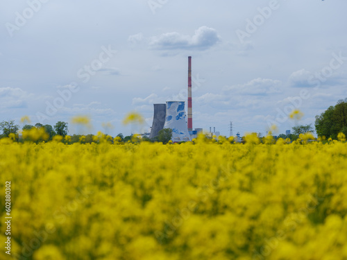 rapeseed field in spring with power plant in background