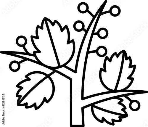 basil  icon