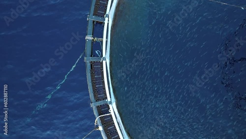 Aquaculture Sea Fish Farm Aerial View