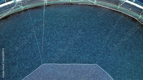 Aquaculture Sea Farm Nets Holding Fish for Consumption