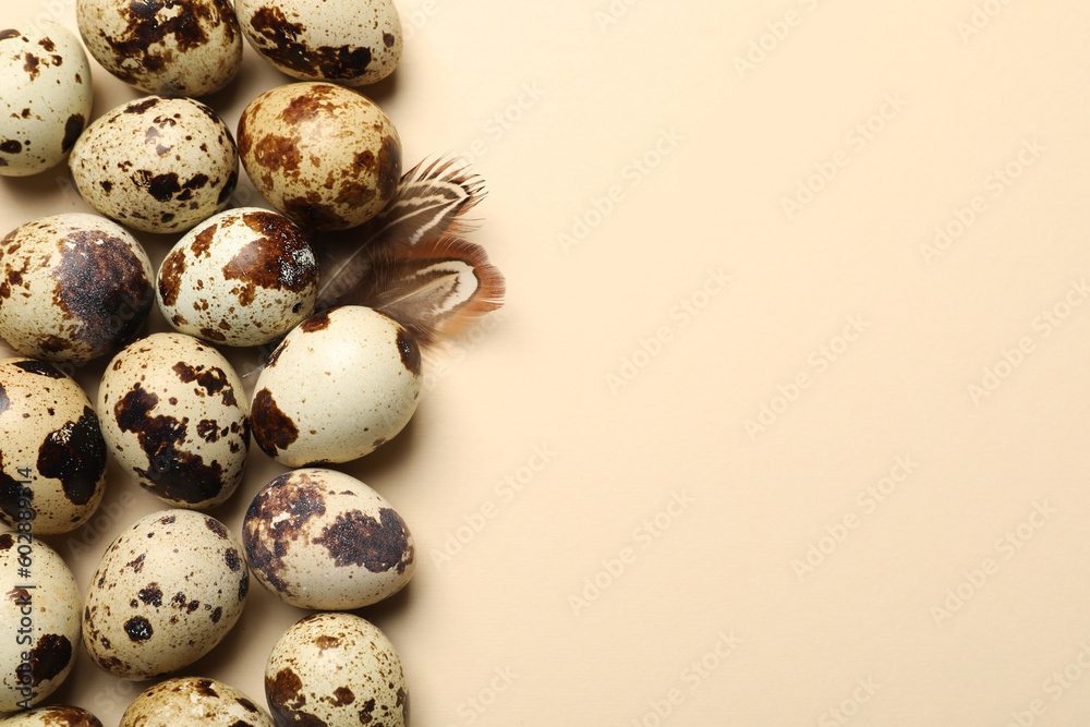 Speckled quail eggs and feathers on beige background, flat lay. Space for text