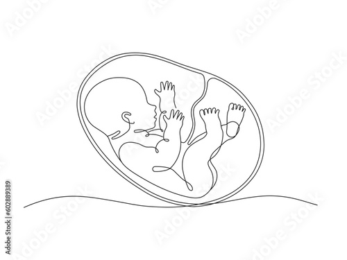 Baby embryo in womb one line drawing. Cute unborn fetus baby on mother womb isolated on white background.
