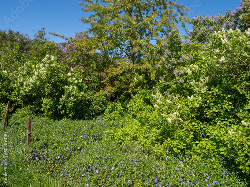 Landschaft