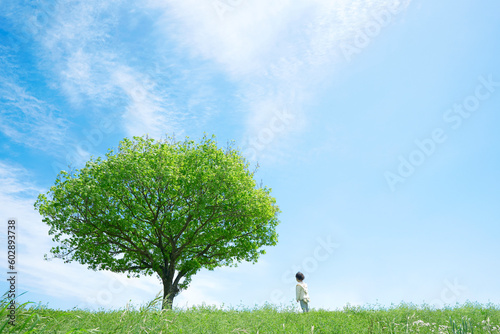 晴れた日の一本木のある原っぱに立つ子供
