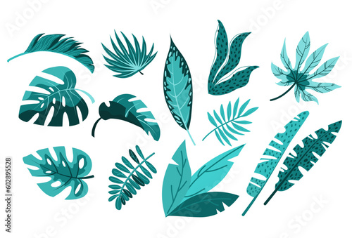 Tropical palm leaves, jungle leaves, botanical density, protein density. Set of vector palm tropical leaves