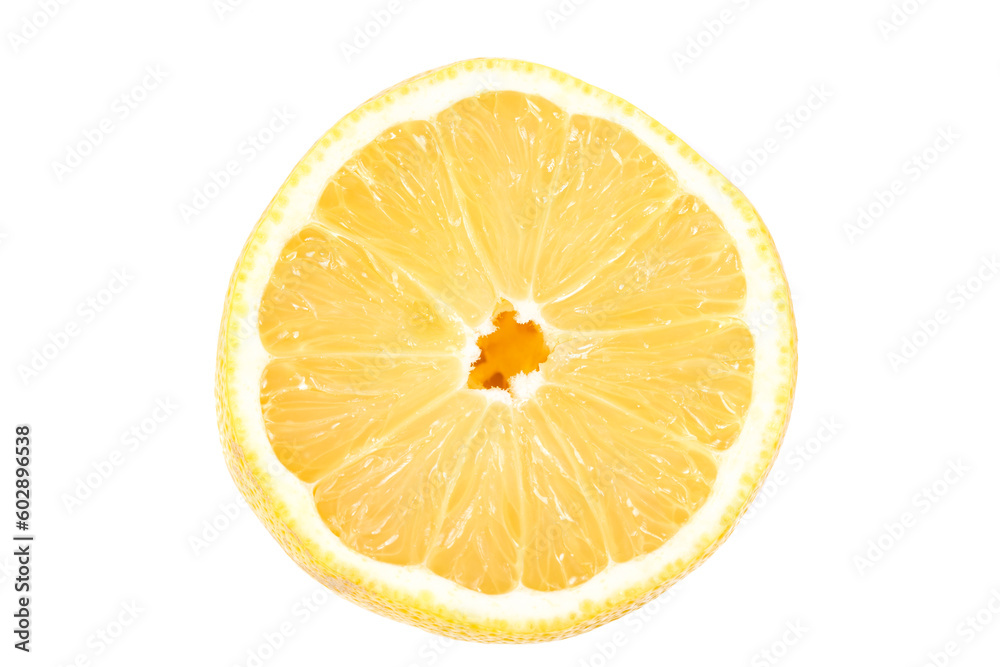 Slice of lemon fruit isolated Slice of lemon fruit isolated