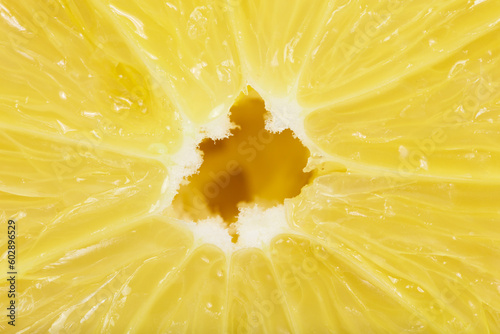 Slice of lemon fruit isolated
