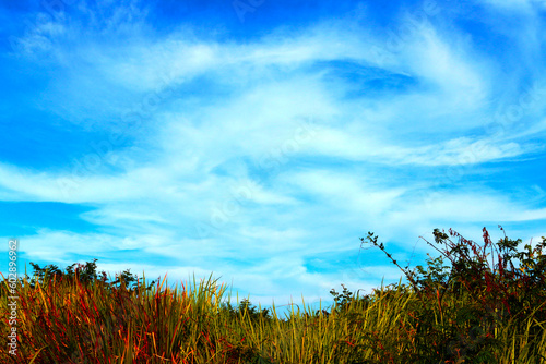 grass and blue sky with clouds background photo