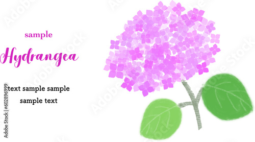 カードデザイン　アジサイ（ピンク色）