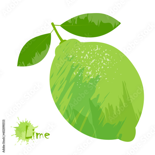 Lime Vector illustration. Isolated on a white background.