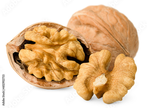 walnut, peeled and in shell, on a white isolated background photo