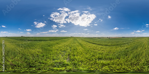 spherical 360 hdri panorama among green grass farming field with clouds on blue sky in equirectangular seamless projection  use as sky replacement  game development as sky dome or VR content