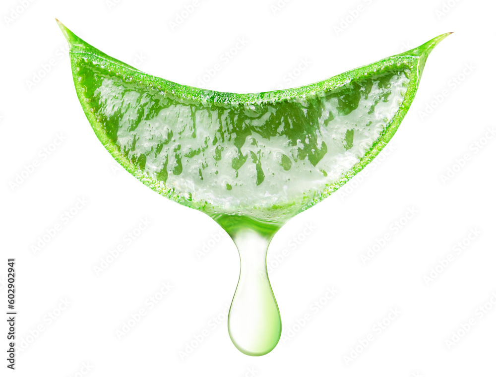 Fototapeta premium one slice of aloe vera with a drop of juice on an isolated white background