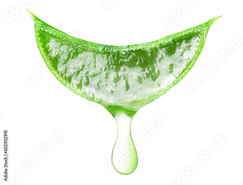 one slice of aloe vera with a drop of juice on an isolated white background photo