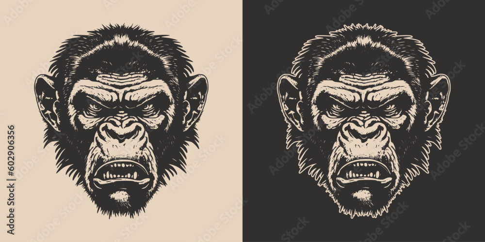 Set of vintage retro angry monkeys. Can be used for logo, emblem, poster, dadge design. Monochrome Graphic Art. Engraving style. Vector