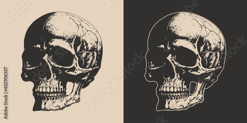 Set of vintage retro scary skull. Can be used like emblem, logo, badge, label. mark, poster or print. Monochrome Graphic Art. Vector. Hand drawn element in engraving