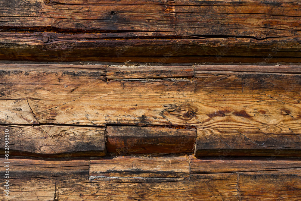 Fototapeta premium Wooden wall from logs
