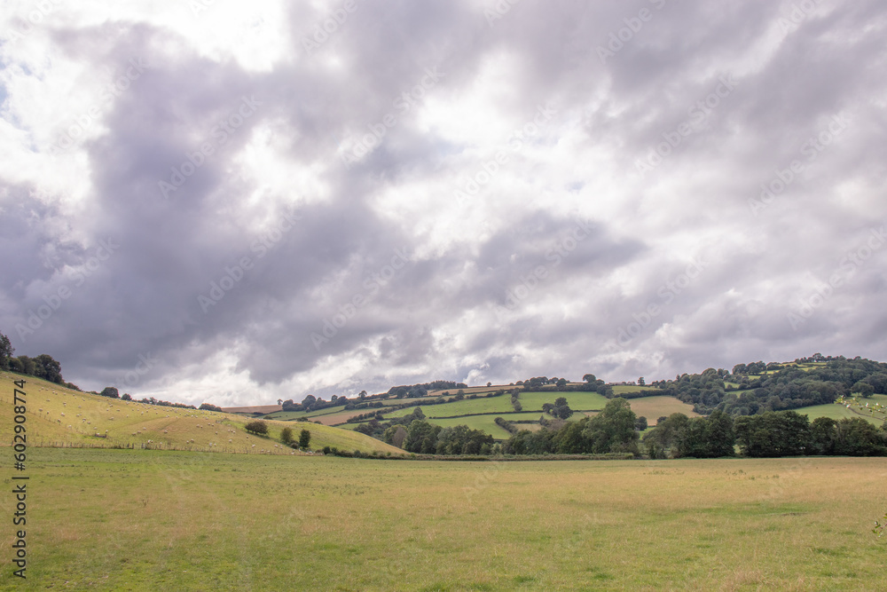 Fototapeta premium landscape with clouds