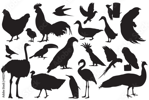 A animal collection of silhouettes of birds and birds