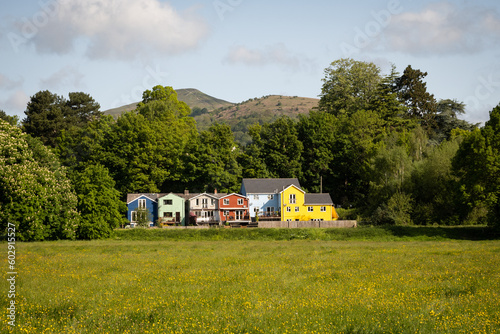 popular dog walking are Castle meadows in Abergavenny with yellow flowers buttercups in bloom with green trees and fields underneath the mountains and colourful houses