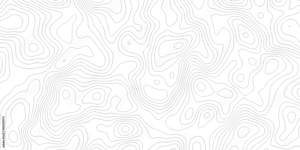 Pattern with lines and dots The stylized height of the topographic map contour in lines and contours isolated on transparent. Black and white topography contour lines map isolated on white background. - obrazy, fototapety, plakaty 