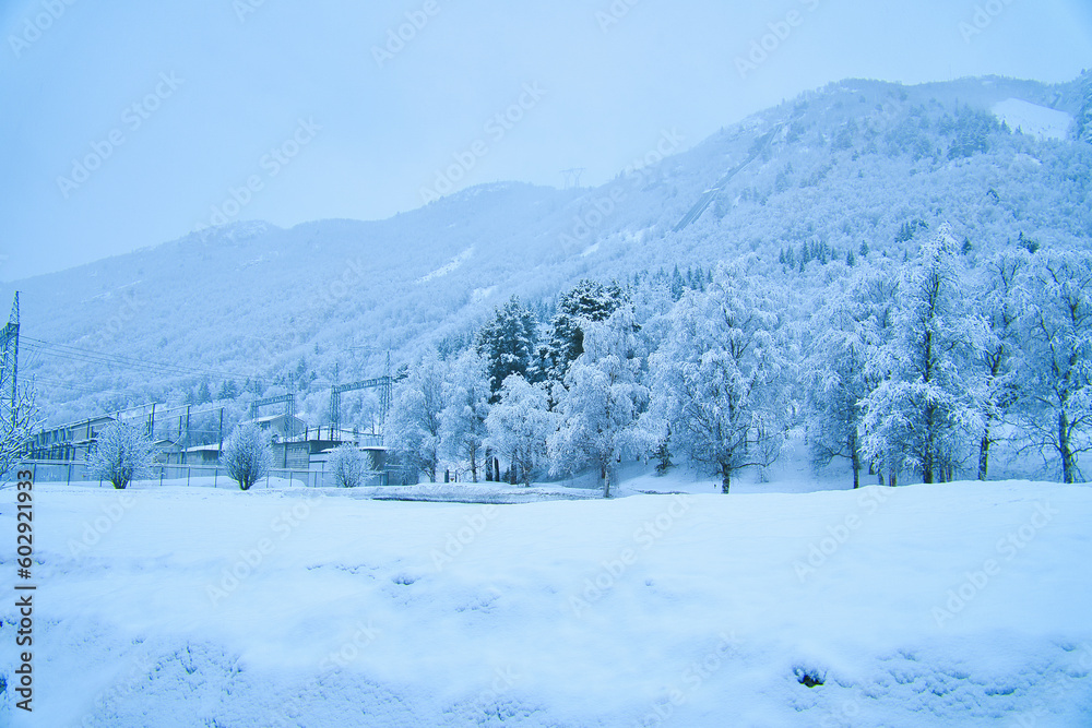 Winter landscape in Scandinavia. With snow covered trees on a mountain. Landscape