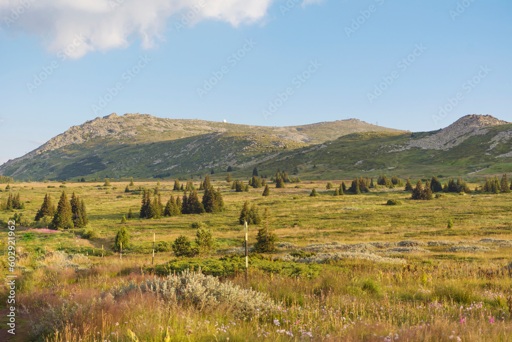 Naklejka premium Summer Mountain Landscape . Vitosha Mountain ,Bulgaria 