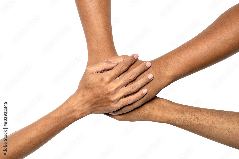 Fototapeta premium The hand gesture of friendship