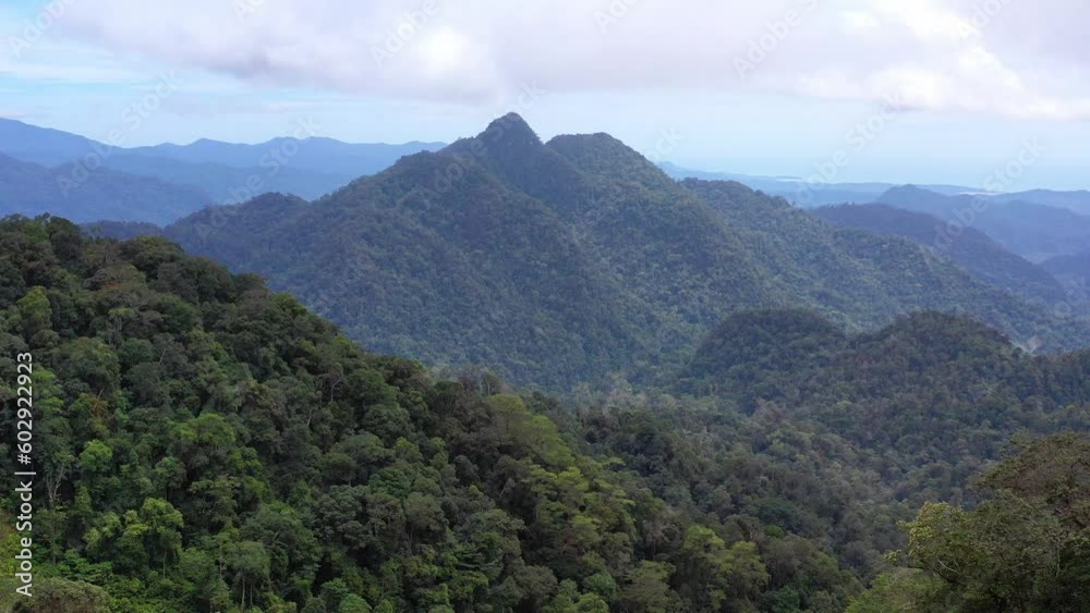 AH - Mountains and Dense Rainforests AH - Mountains and Dense Rainforests