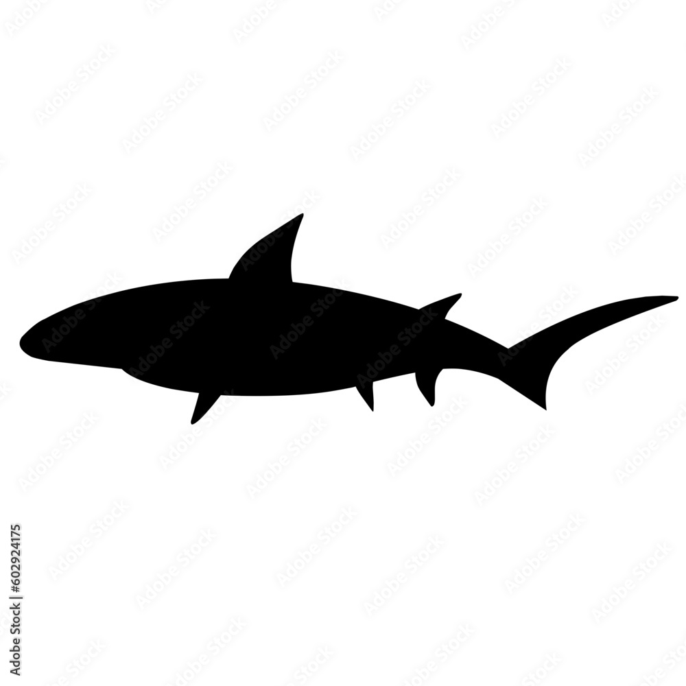 Shark Silhouette Shark Silhouette