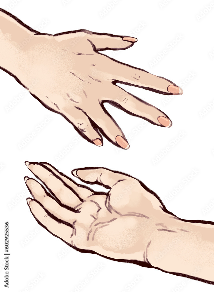 Stylized hand drawn illustration of two elegant feminine manicured hands in relaxed gesture isolated on white background art asset Stylized hand drawn illustration of two elegant feminine manicured hands in relaxed gesture isolated on white background art asset
