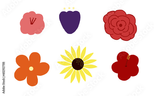 Set of flower heads in a simple style, isolated on transparent background. Bright colours. design element greeting card. Rose sunflower hibiscus. cartoon tropical