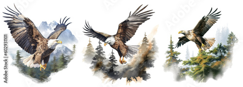 illustration of a flying eagle in wilderness on transparent background photo