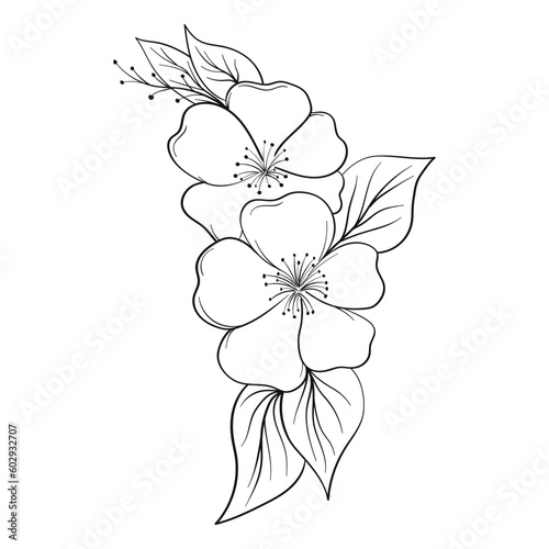 Hand Drawing Flower Outline Vector Illustration 