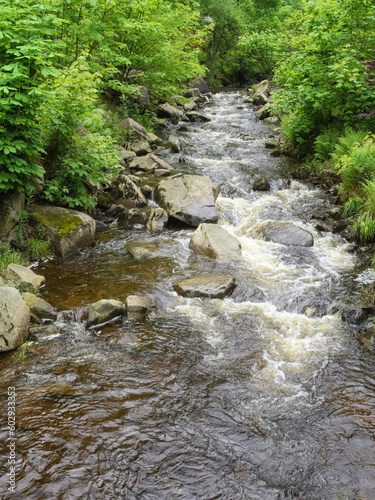Bad Harzburg - Stromschnelle der Radau, Zufluss der Oker, Niedersachsen, Deutschland, Europa
