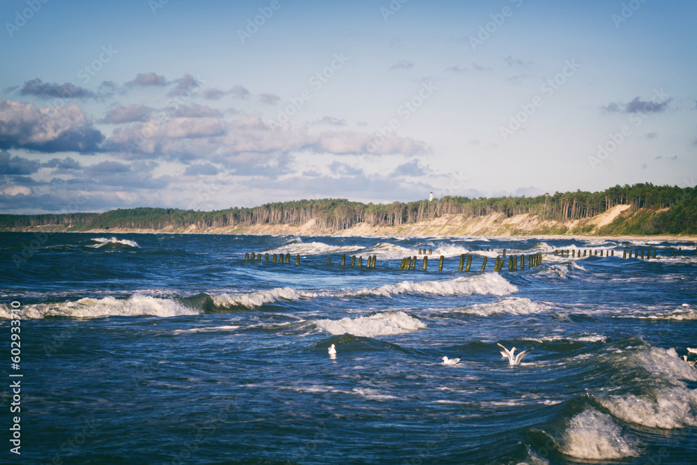 Sea view on the waves and forest