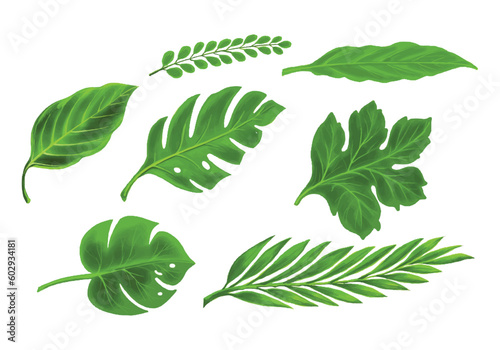 Tropical different type exotic leaves set design