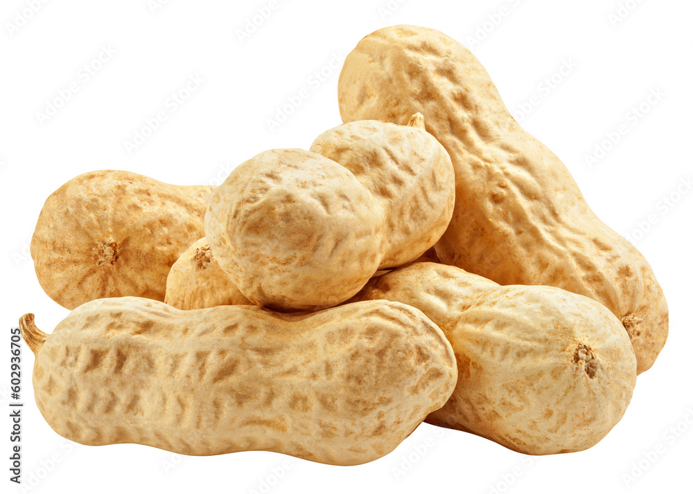 peanut isolated on white background, full depth of field peanut isolated on white background, full depth of field