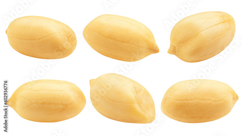 peanut isolated on white background, full depth of field