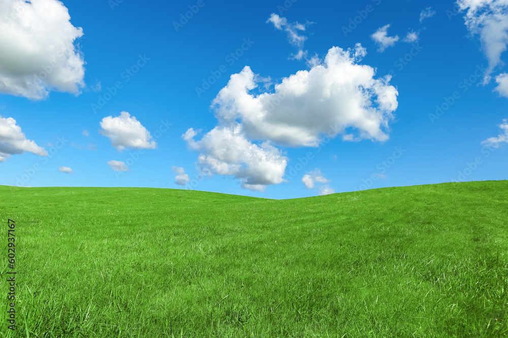 Green grass and blue sky with white fluffy clouds, beauty nature background. Perfect summer greenery field, hill, grassland. Nature environment landscape, lush green grass meadow, blue sky Green grass and blue sky with white fluffy clouds, beauty nature background. Perfect summer greenery field, hill, grassland. Nature environment landscape, lush green grass meadow, blue sky