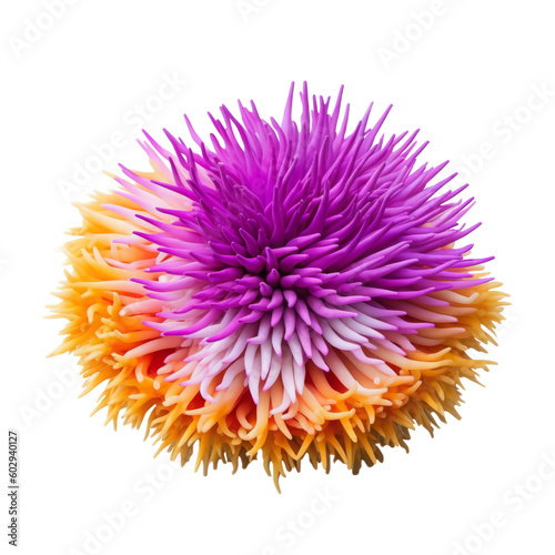 Fototapeta Naklejka Na Ścianę i Meble -  colorful sea soft coral isolated on transparent background cutout , generative ai