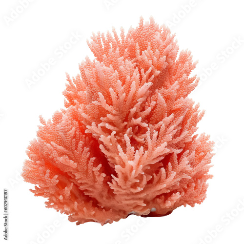 red soft coral isolated on transparent background cutout , generative ai