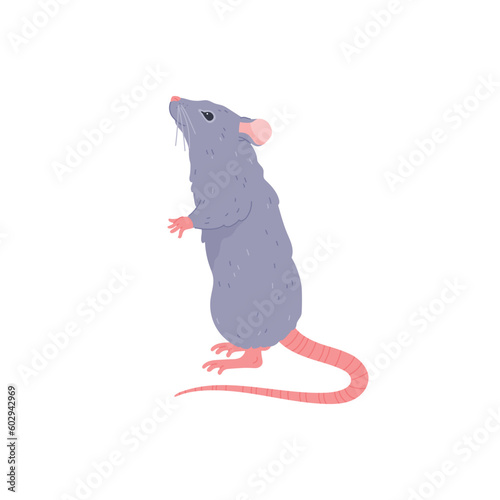 Cute rat standing  cartoon flat vector illustration isolated on white background.