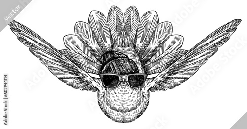 Vintage engraving isolated hummingbird set glasses dressed fashion illustration ink humming costume sketch. Bird background colibri tropical silhouette sunglasses hipster hat art. Vector image