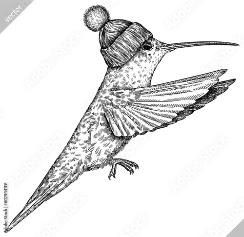 Vintage engraving isolated hummingbird set glasses dressed fashion illustration ink humming costume sketch. Bird background colibri tropical silhouette sunglasses hipster hat art. Vector image
