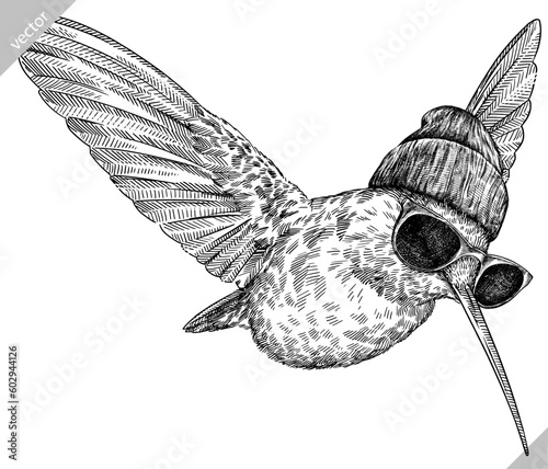 Vintage engraving isolated hummingbird set glasses dressed fashion illustration ink humming costume sketch. Bird background colibri tropical silhouette sunglasses hipster hat art. Vector image