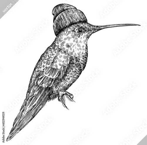 Vintage engraving isolated hummingbird set glasses dressed fashion illustration ink humming costume sketch. Bird background colibri tropical silhouette sunglasses hipster hat art. Vector image