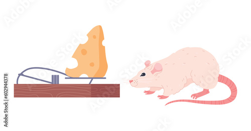 Smiling little rat sniffing cheese in mousetrap flat style