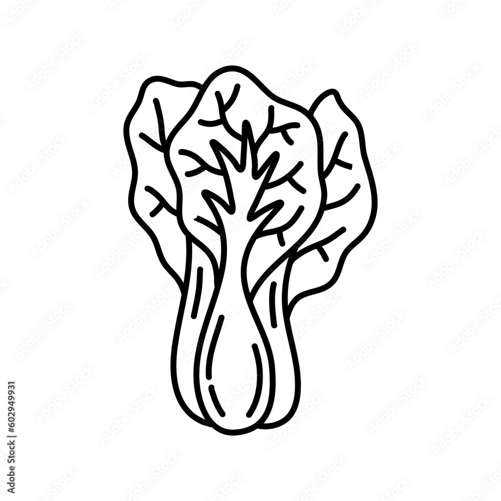 Pak choi outline icon vector illustration. Hand drawn line sketch of fresh bok choy plant, organic Chinese cabbage, leaf vegetable for vegetarian salad, farm product and cabbage for Asian cuisine - obrazy, fototapety, plakaty 